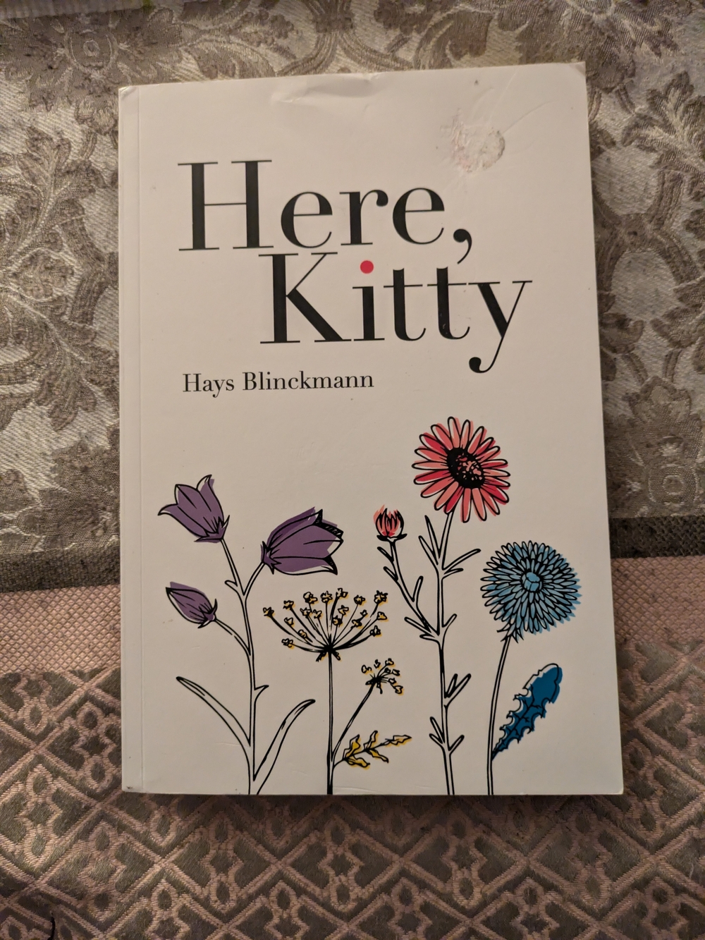 Here, Kitty - White Back-Cover Decorative Book